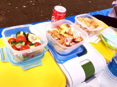 o0480036013940960651